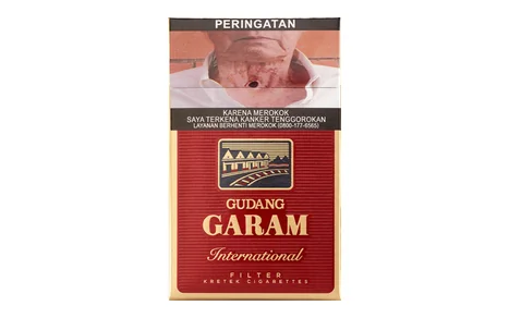 Gudang Garam International