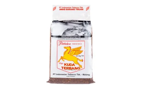 Kuda Terbang
