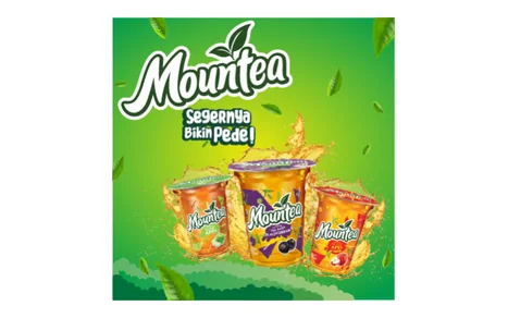 Mountea