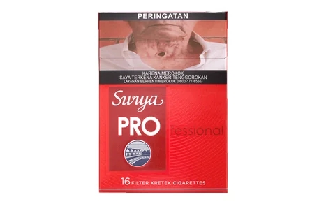 Surya Profesional