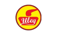 Uleg