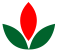 BISI International Tbk PT logo