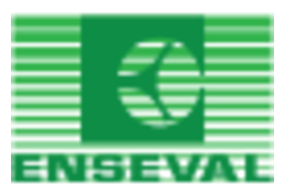 Enseval Putera Megatrading Tbk PT logo